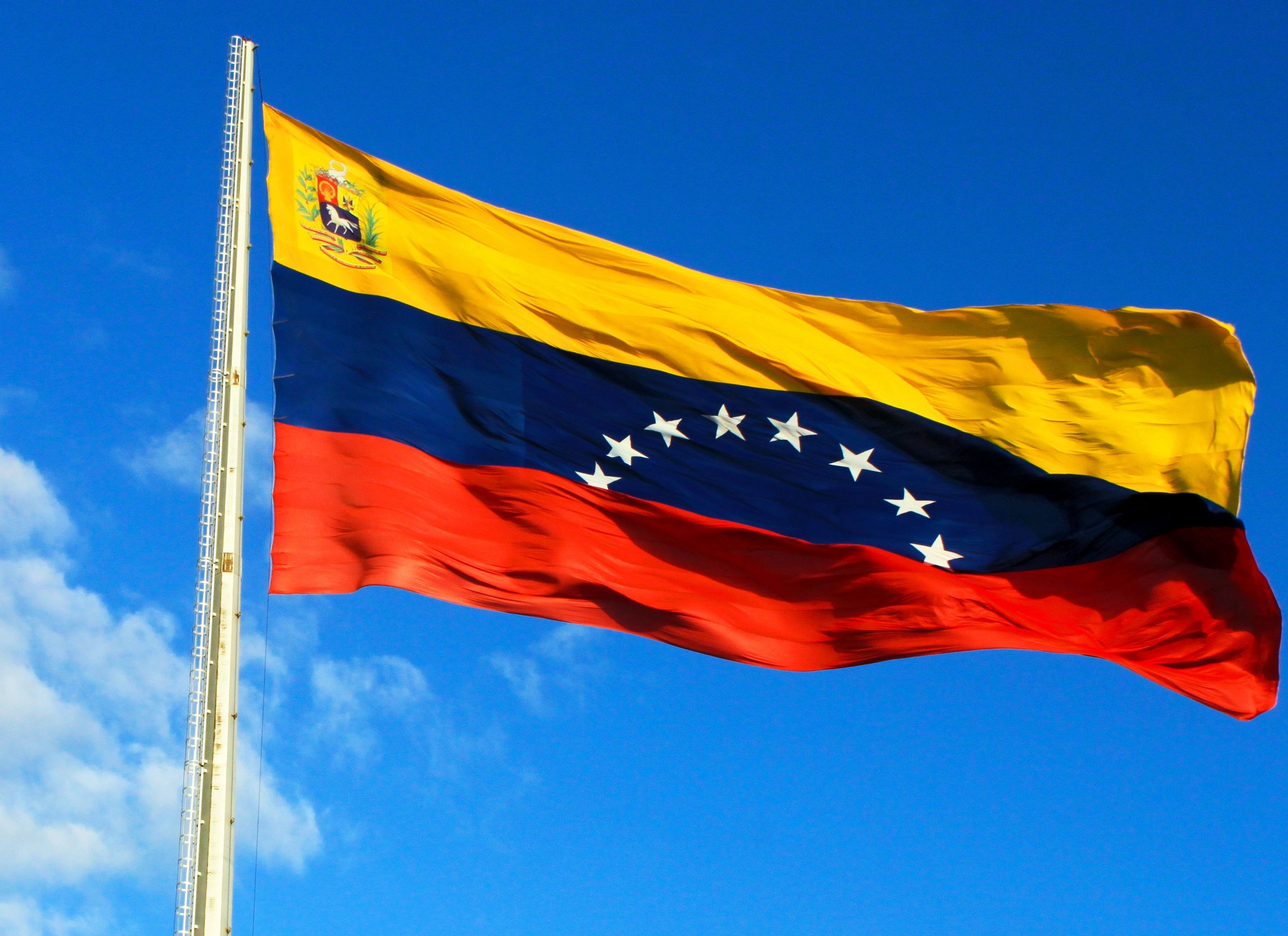 Bandera De Venezuela Pedro A Palma
